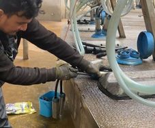 Dairy farm worker available