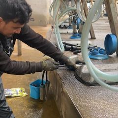 Dairy farm worker available