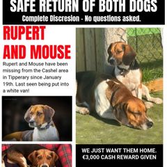Reward Mouse and Rupert
