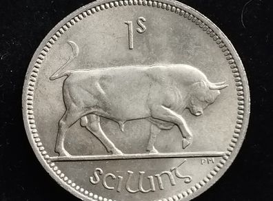 Ireland - 1966 - Shilling - Bull - UNC - KM.14a - [742]