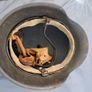 M42 German WW2 original Helmet Image 5