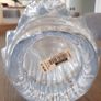 vase Image 2