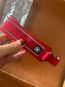 Dog Collar