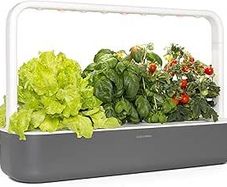 Click & Grow Indoor Herb Garden Kit with Grow Light