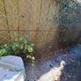Rebar mesh Image 3