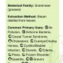 Essential Oil - Lemongrass 2ml Image 4