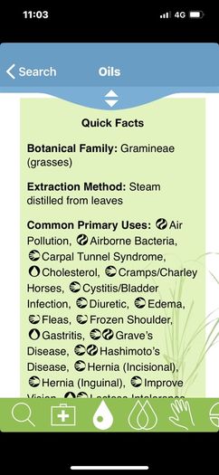 Essential Oil - Lemongrass 2ml