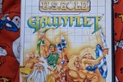 Gauntlet Sega Master System Arcade Retro Games Original