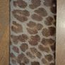 Designer wallet by Bally Image 3