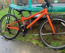 Carrera Junior Bike