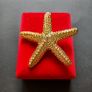 Textured Gold Tone Starfish Brooch - Large Nautical Sea Star Pin - Gold Tone Marine Coastal Jewelry Image 7