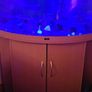 Corner Fish Tank for sale Image 2