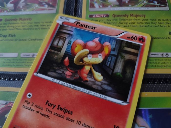 Pansear ! Promo ! Holo ! XY Era ! 2016 ! Pokemon Card !