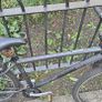 Squish 26 Light Alloy Bike Image 3