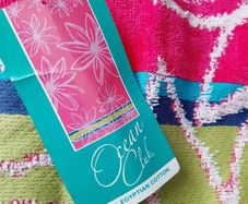 New Beach Towel and new bag tags attached