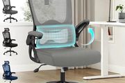 Ergonomic Desk Chair -Dual Backrest Design with 2D Lumbar Support &amp; Adjustable Headrest. Swivel Computer Chair with Flip-up Padded Armrest, Thickened Seat for Home/Work/Gaming