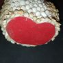 Vintage Seashell Art Image 2