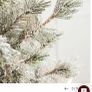 Christmas tree Image 8