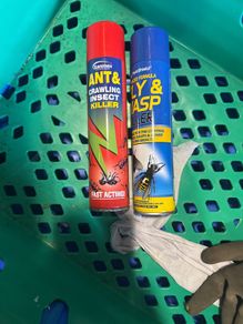 pest control