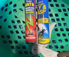 pest control