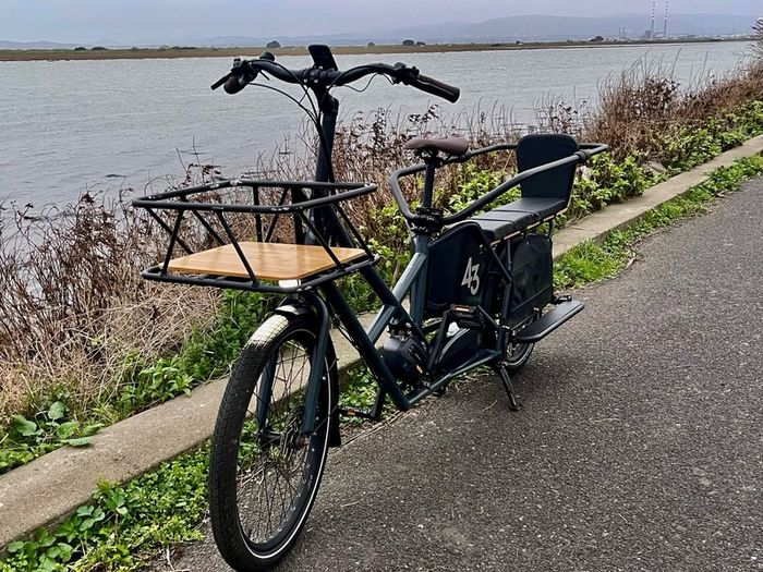 Bike 43 long tail with cargo set up