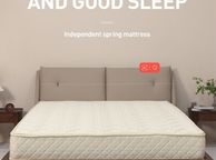 main image for ad Natural coconut fiber spring mattress