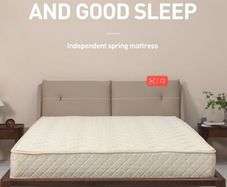 Natural coconut fiber spring mattress
