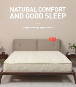 Natural coconut fiber spring mattress