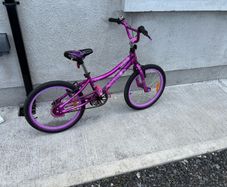 20 Inch Girls Bike