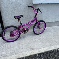20 Inch Girls Bike