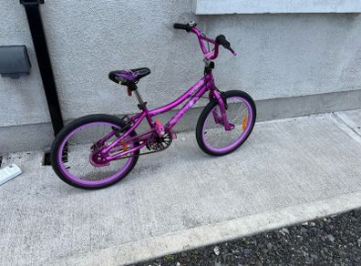 20 Inch Girls Bike