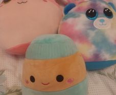 Squishmallows and T.y soft teddies