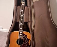 Gibson Guitar