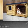 Luxury Dog Kennels Image 6