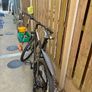 carerra mountain bike Image 2