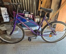 ladies bike