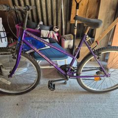 ladies bike