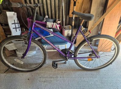ladies bike