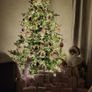 Christmas tree Image 2