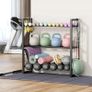 3 Tier Dumbbell Rack, Weight Rack for Home Gym, 360 lb Capacity Image 2