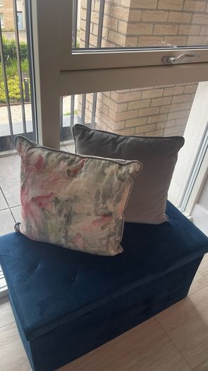 Pink & Grey Velvet Cushions