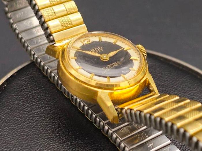 Vintage Mechanical Gold Filled Lady's Watch from 1960s