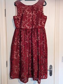 Amazing Embroidered Organza skater dress from Boohoo Boutique