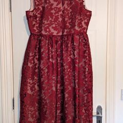 Amazing Embroidered Organza skater dress from Boohoo Boutique