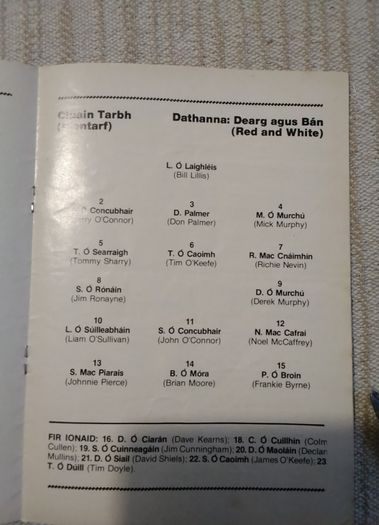 Dublin   Gaa Programme