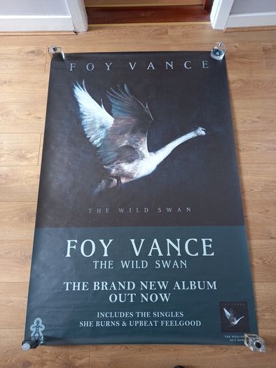 Massive Foy Vance Poster for "The Wild Swan"