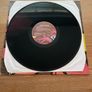 Mighty Dub Katz - Magic Carpet Ride 12" Single - 1997 Southern Fried Records Image 2