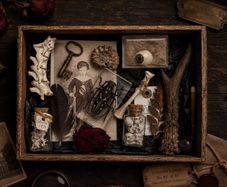The Forgotten Curator Curators Tray No 1 of 30
