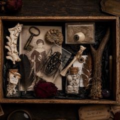 The Forgotten Curator Curators Tray No 1 of 30
