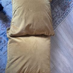Mustard Cushions